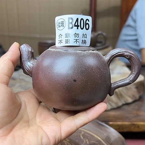 戬谷龙窑柴烧茶壶406