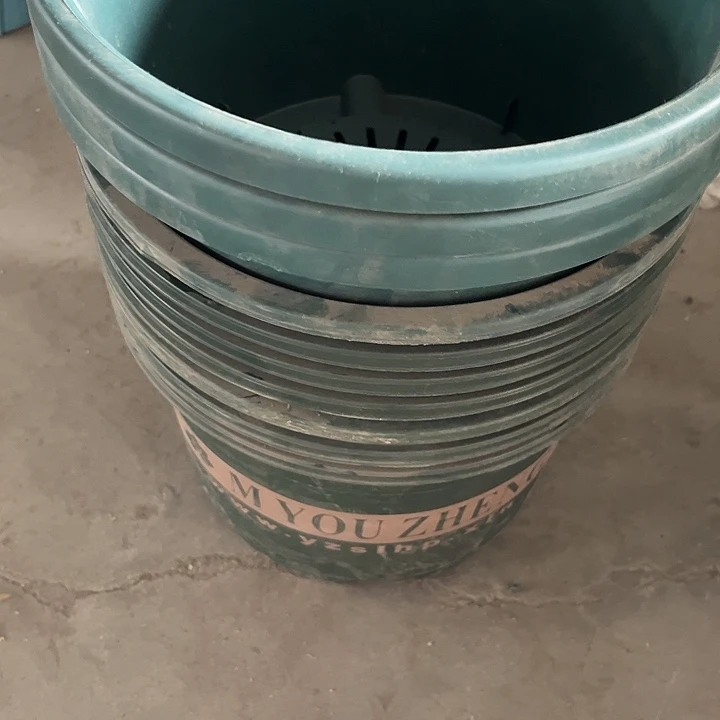 塑料悄*乔瑕疵长盛矮4加自家的矮4的3个红11个