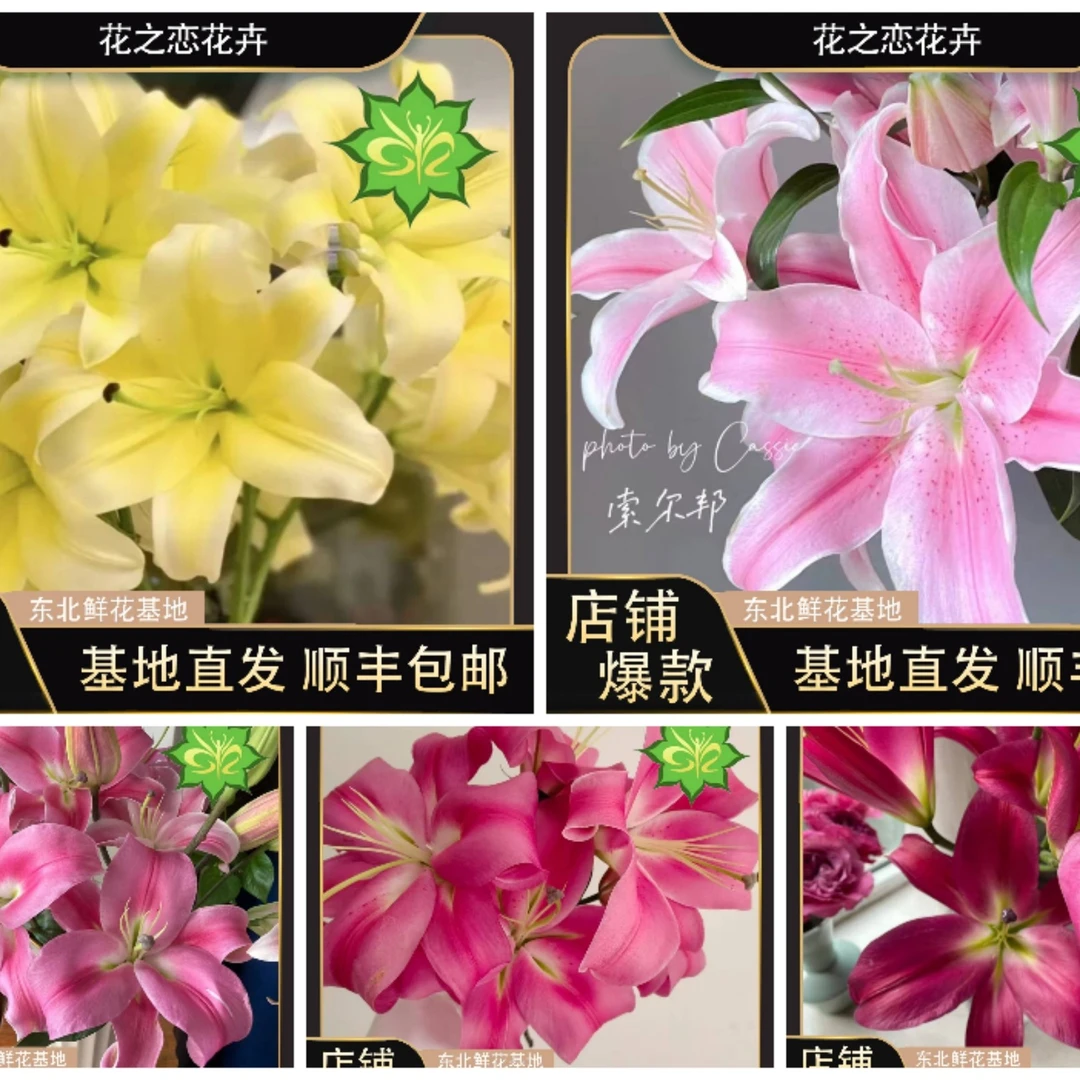 新春佳礼 鲜花大礼包 （走亲访友精选）《东北基地发货》