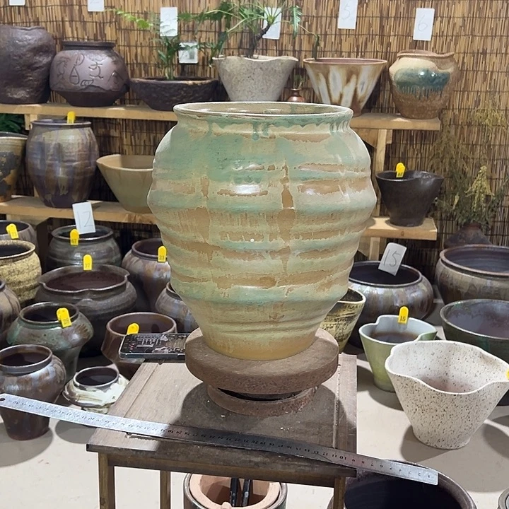 高31/21花盆发个宝宝吧