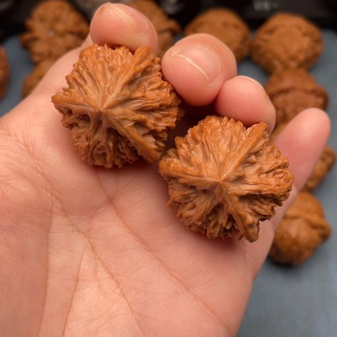 把件文玩核桃全品御龙正奔34