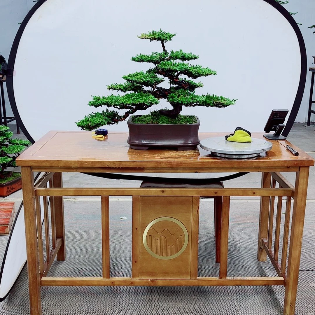 无花朵直播间一物一拍