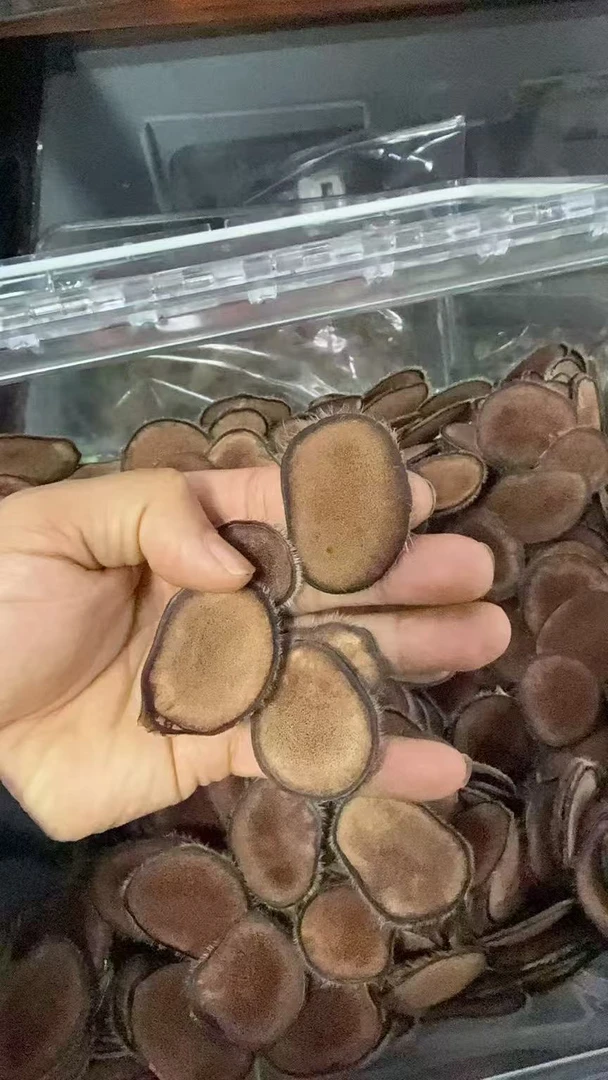 卡鹿芝东北吉林特产红粉鹿茸片煲汤泡水泡酒佳品