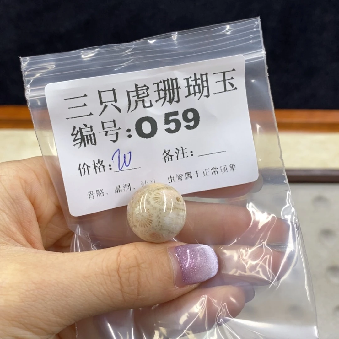 硅化珊瑚（珊瑚玉）未镶嵌1