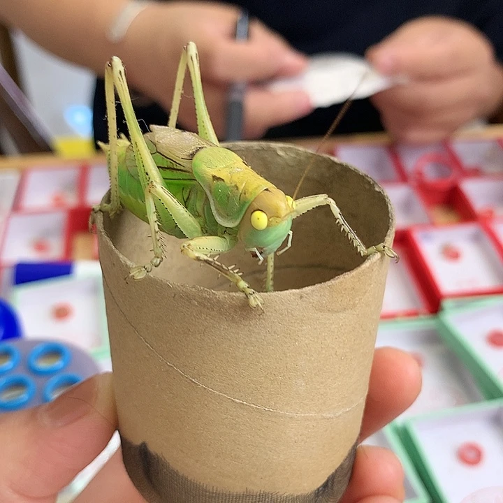 清**凡哈哈哈哈哈哈哈