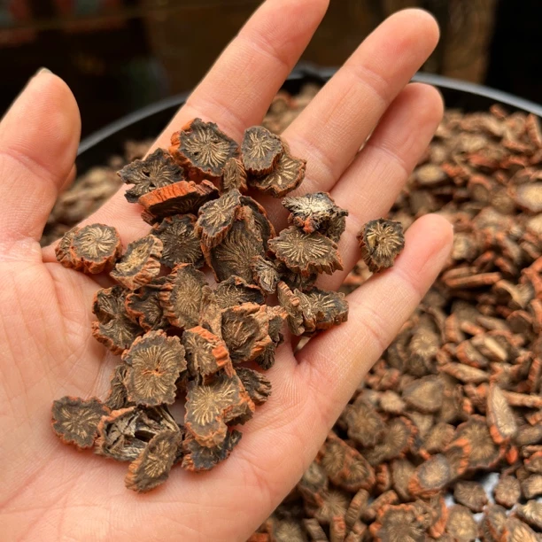 丹~参 云南赶集现收山货 搭配 西洋参