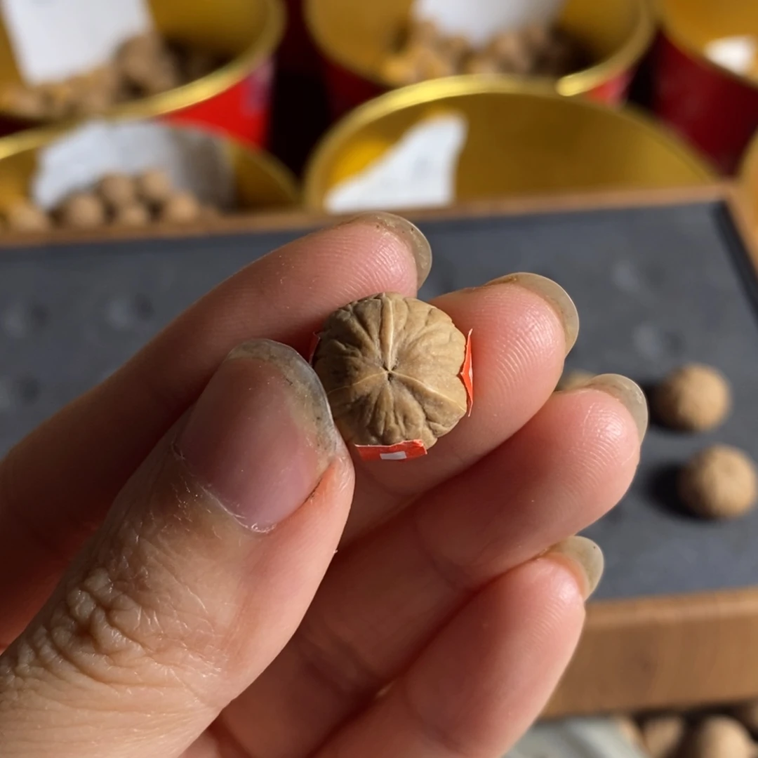 吊坠猴头核桃14尺南瓜三棱