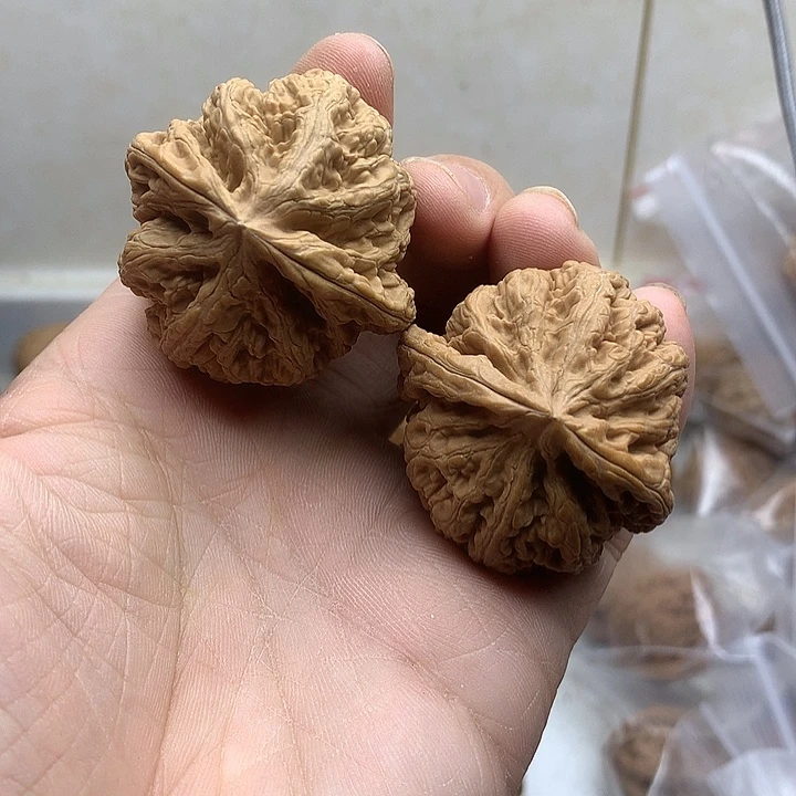 文玩核桃吊坠42大粗筋