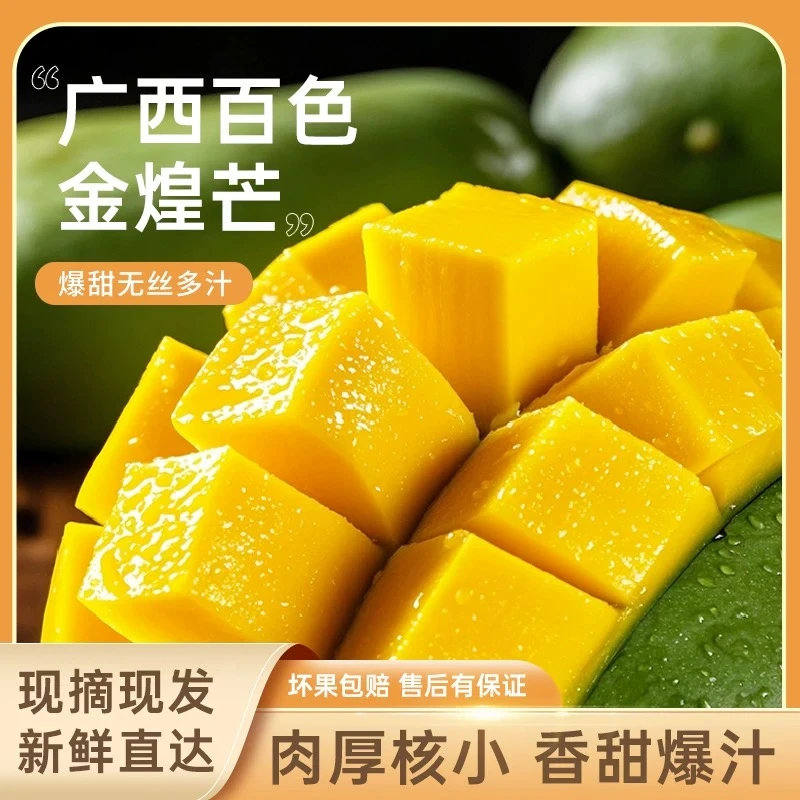 精品金煌芒 广西青皮金煌芒 老树果 现摘现发