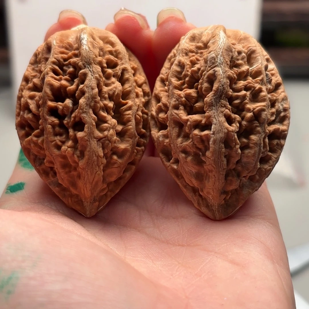 把件文玩核桃小蛙花皮150