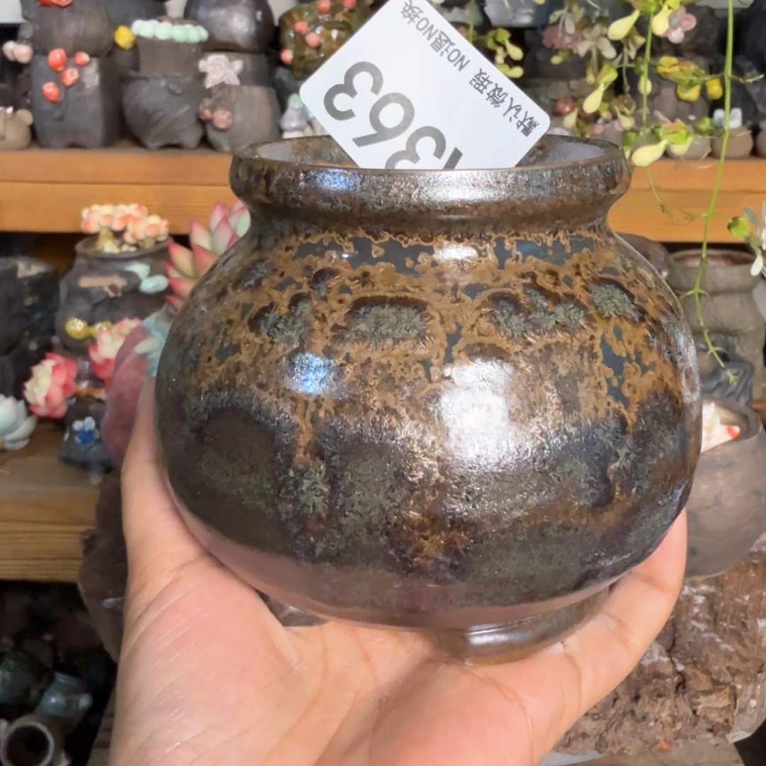 重庆小燕子欢迎大家363