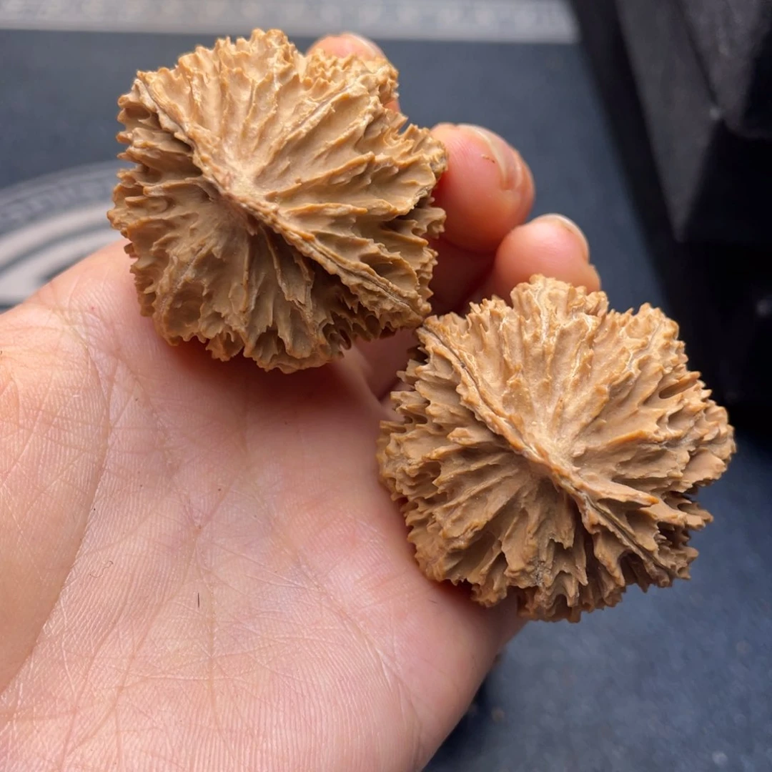 文玩核桃吊坠秦岭核桃34