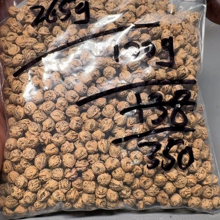 柏香籽/百香籽吊坠不**同