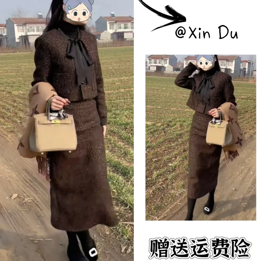 2025秋冬季新款时尚显瘦气质女士网红洋气两件套百搭款D24404