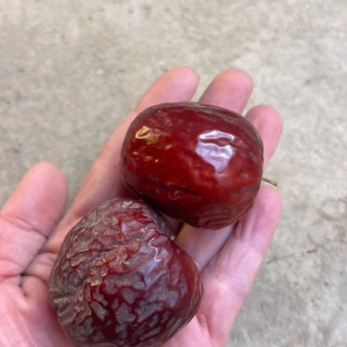 敦煌鸣山大枣｜不打蜡｜自然风干｜无公害