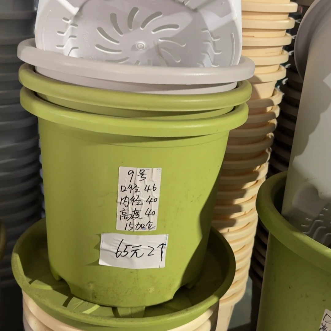 微瑕9#口径46无拖果绿3个