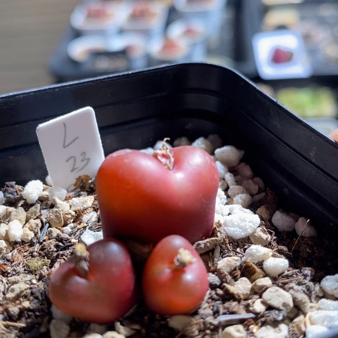 9173一个一个一个