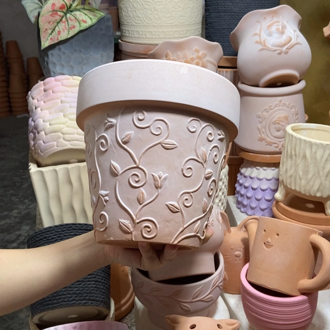 20×19雾化国际钩藤1个