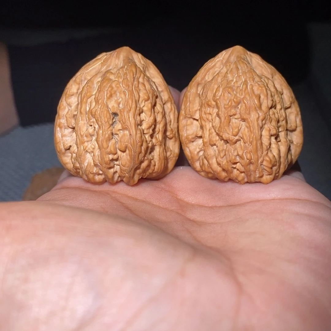 37尺承德密纹。