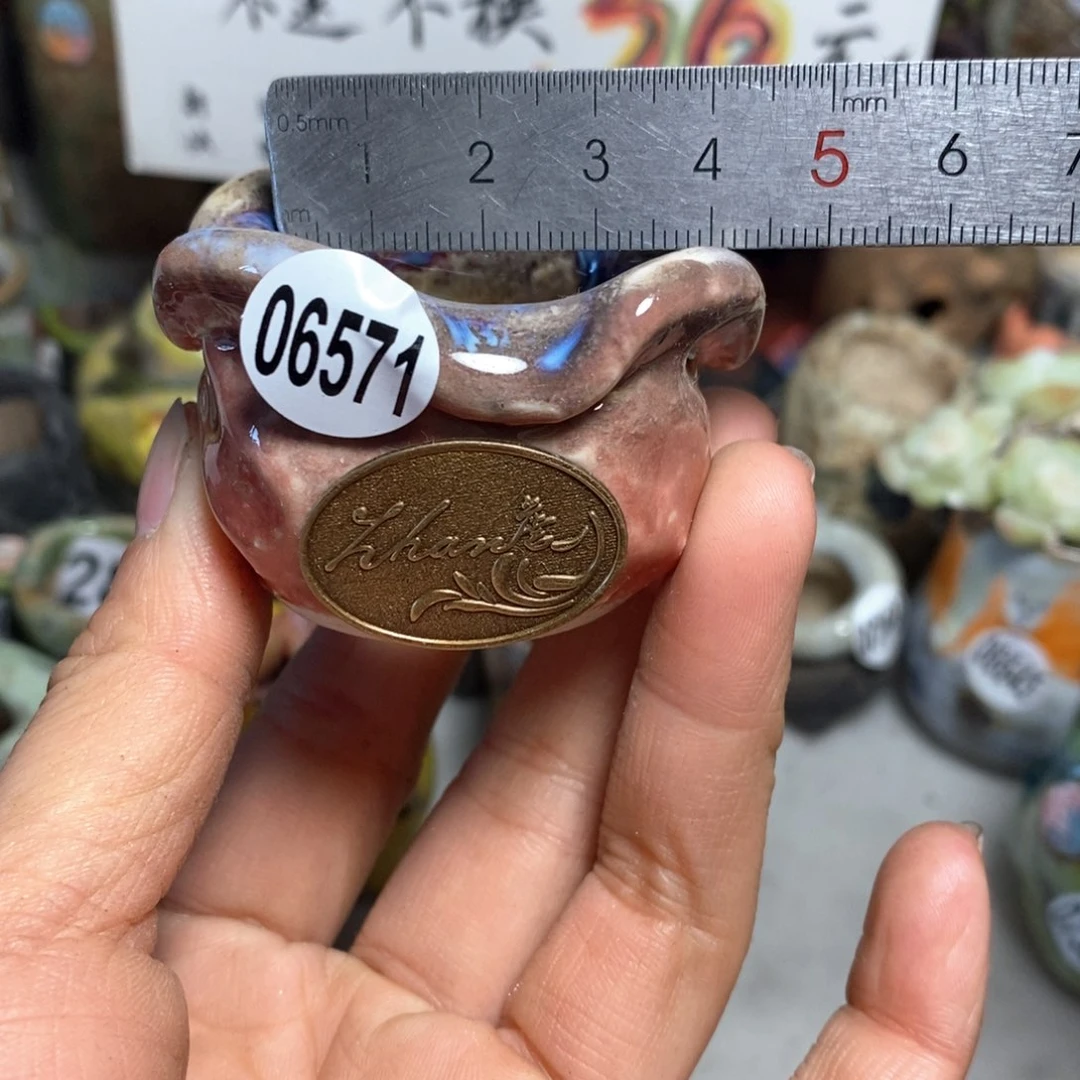 花盆拍5送一个小礼物