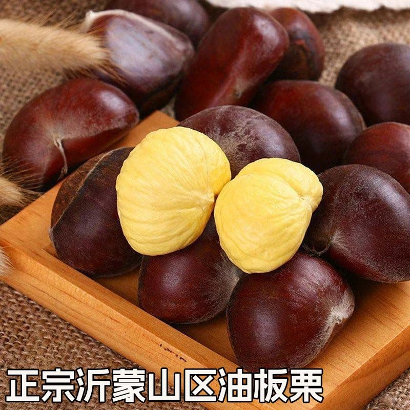 山东蒙阴板栗油栗新鲜生板栗甜糯栗子老树油栗新栗子好去内皮板栗