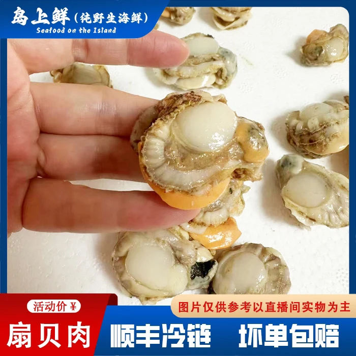 【长海县纯野生扇贝肉】无沙无泥公母混装顺丰包邮