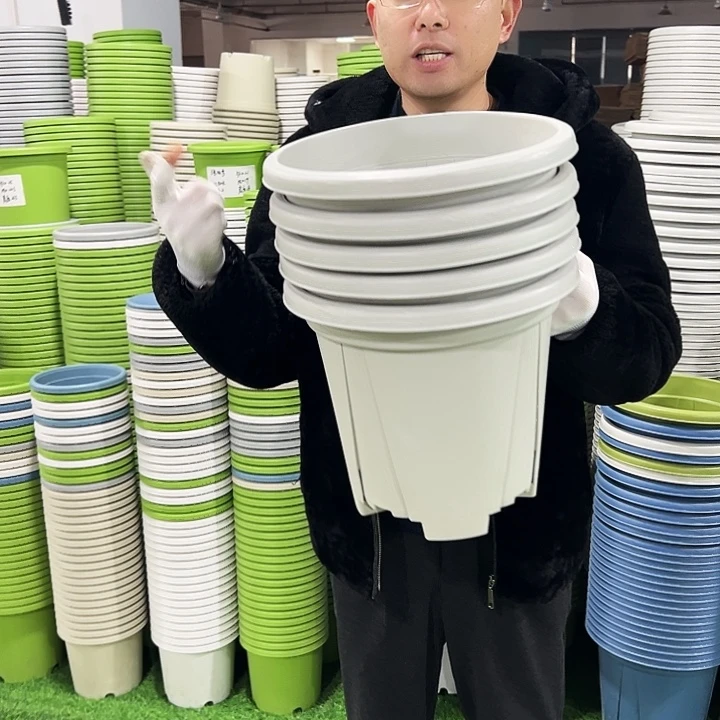 清仓青山口32高28灰白色5只无托