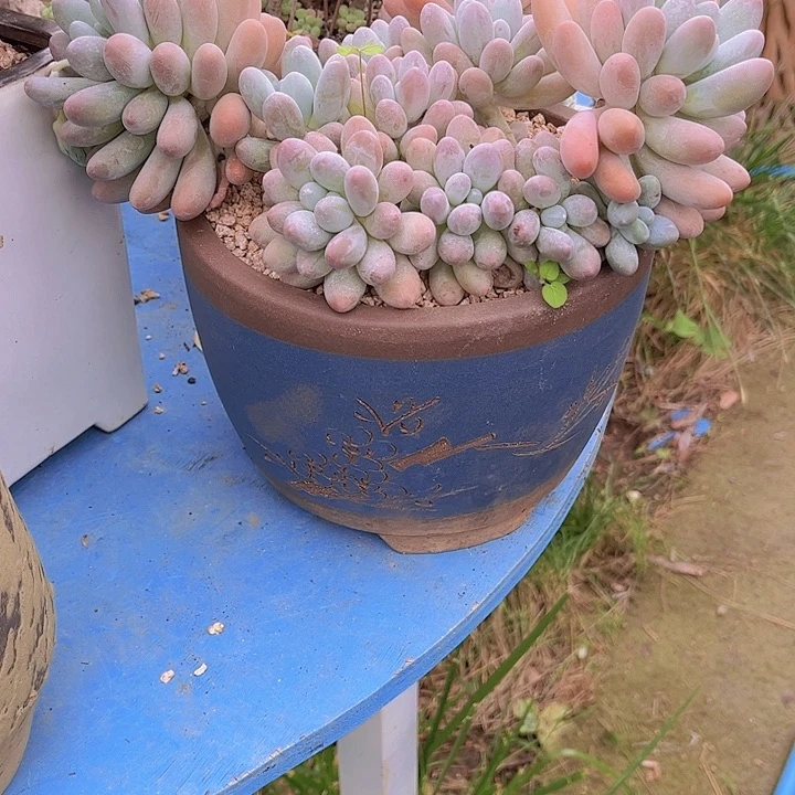 @***果带盆哈哈哈哈哈哈哈哈哈哈哈哈