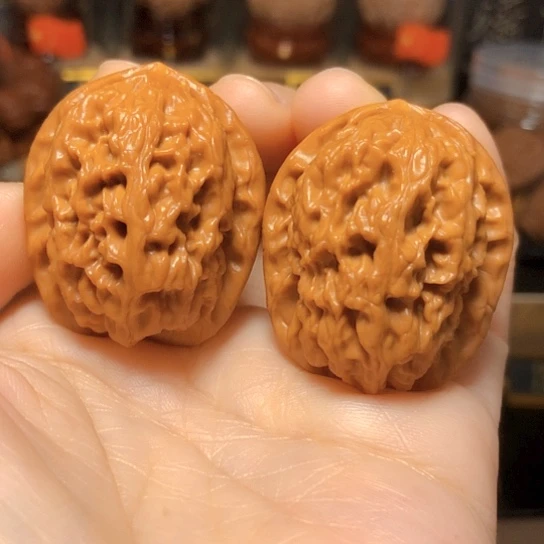 精品野生小众：红莲