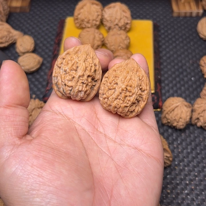 吊坠文玩核桃粗筋蚂蚁王