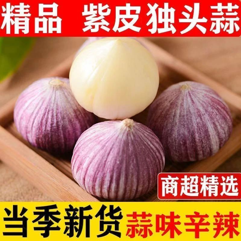 【现挖独蒜】云南大理紫皮独头蒜新鲜独头大蒜0.5/2/3/5斤批发整箱