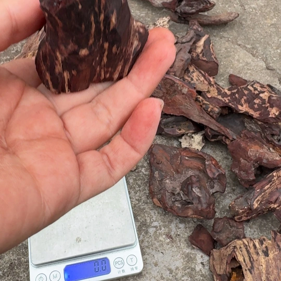 降真香海南红降花梨公原料30克