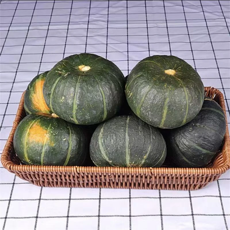 婴儿辅食贝贝小南瓜板栗味小南瓜栗面贝贝南瓜新鲜采摘