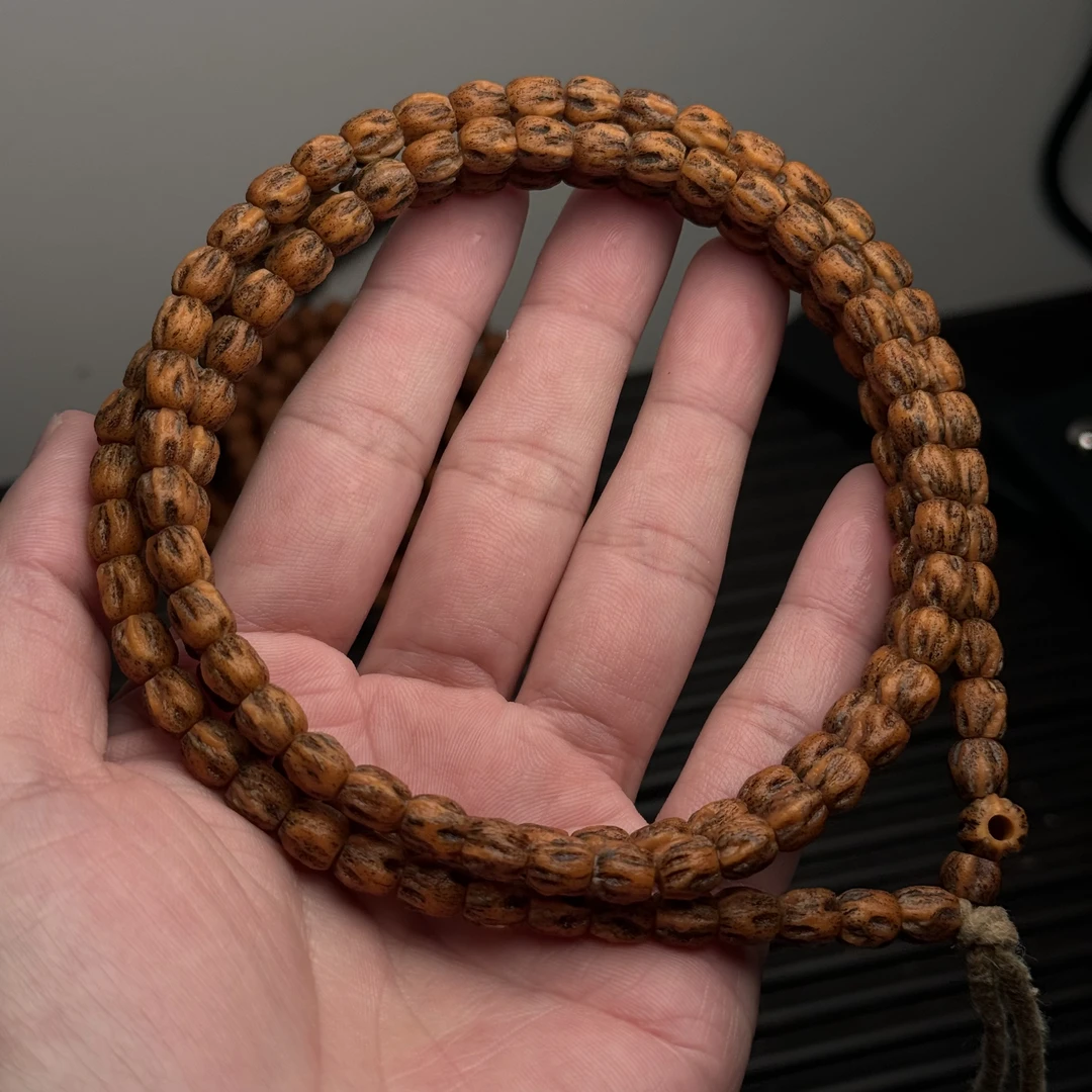 热振柏香籽高桩顺鬼下水效果