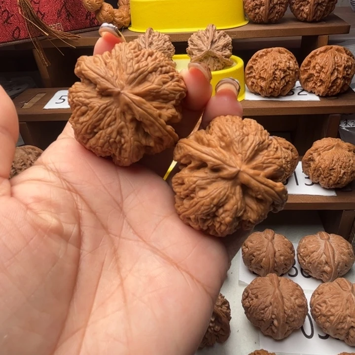 核桃粗筋45全品5016