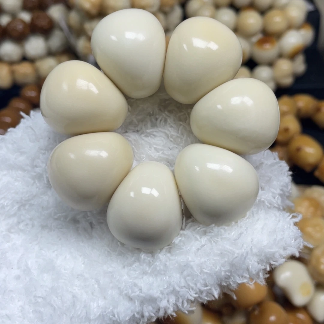 手串菩提根/象牙果12.16.19瑕山竹