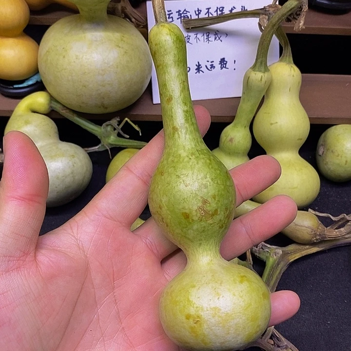 椒****）长嘴哈哈哈哈哈哈哈哈哈哈哈太