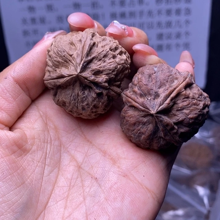 核桃云南野生铁核桃153号37mm