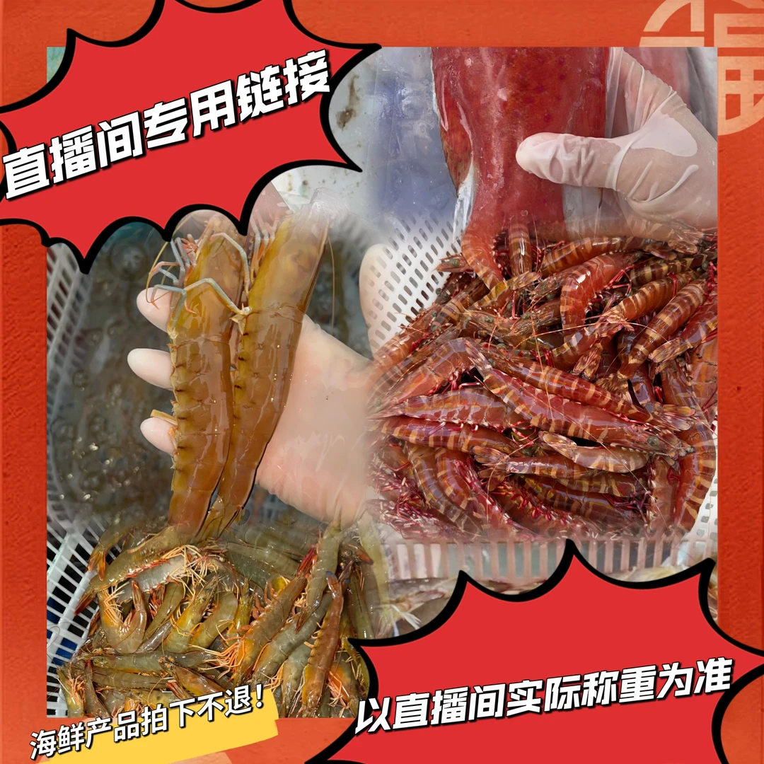野生海鲜拼单改价专用链接(以直播间为准)冷冻发货 拍下不退