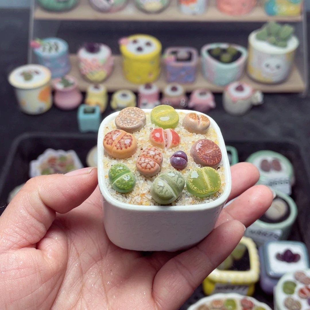 w8689 带盆土发货-零下地区拍保温箱