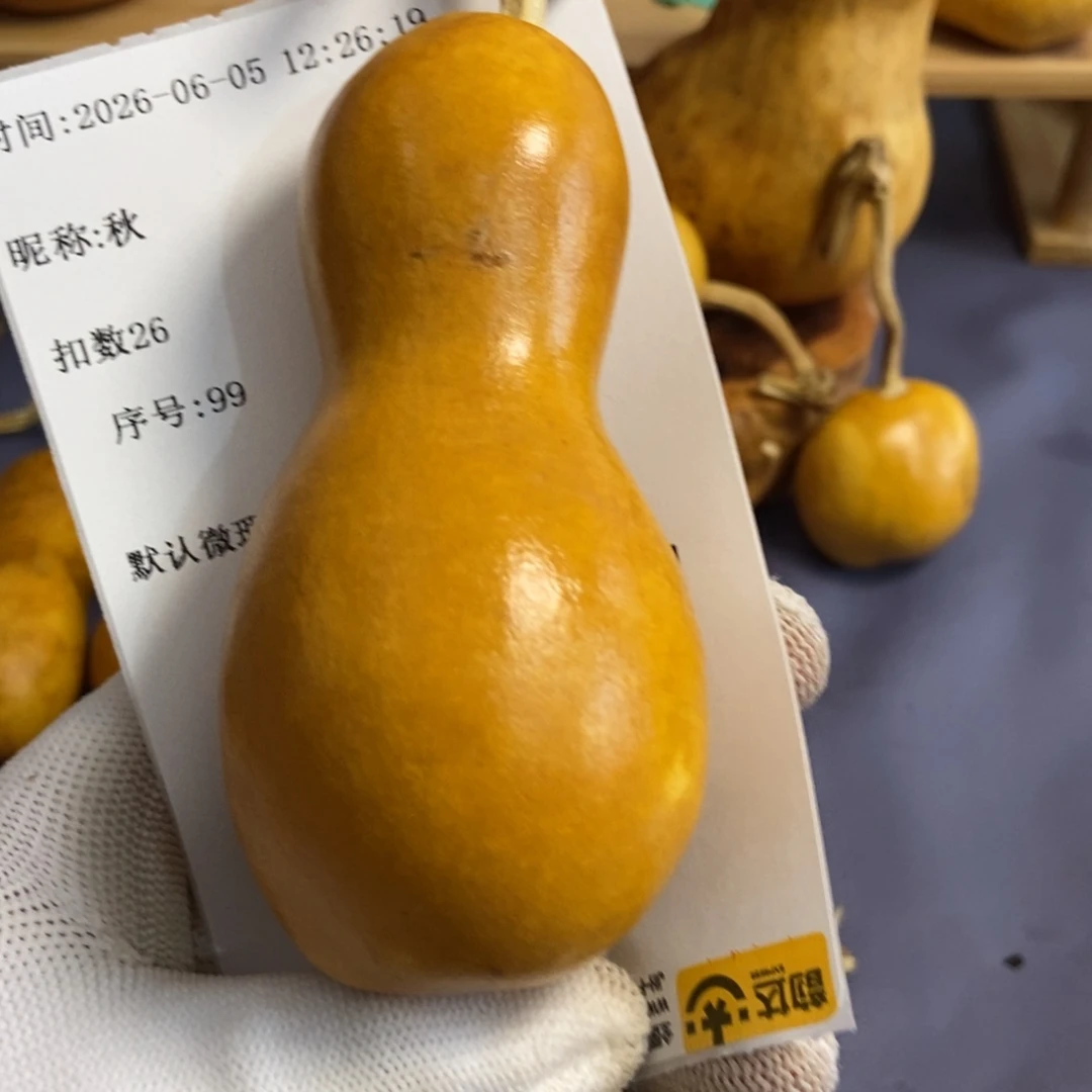 秋哈哈哈哈哈哈哈哈哈哈