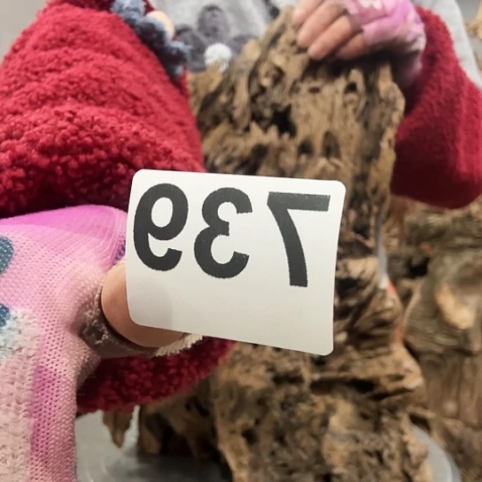 总*眠我也不知道我为什么要这样