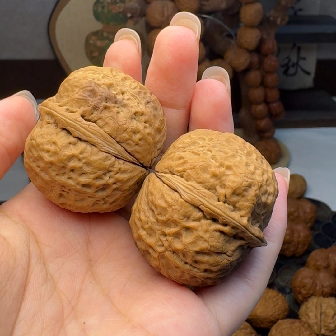 把件文玩核桃粗筋元宝40.5