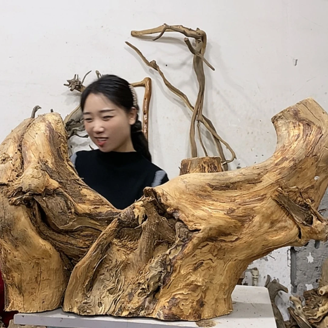 【闪购商品】柏木上****啦我们都是好孩子