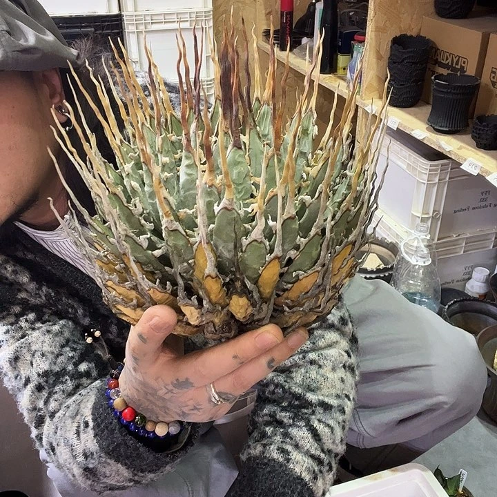 j j j j j j j j j j j