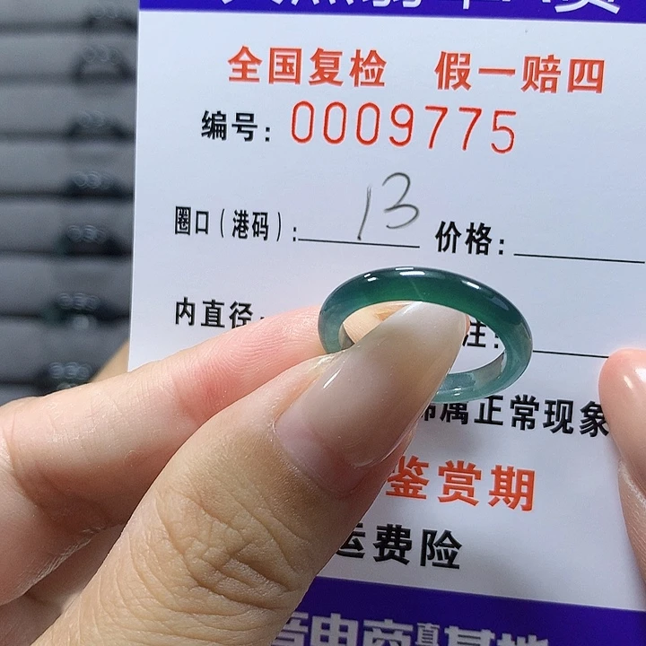 未镶嵌戒圈翡翠wp9775