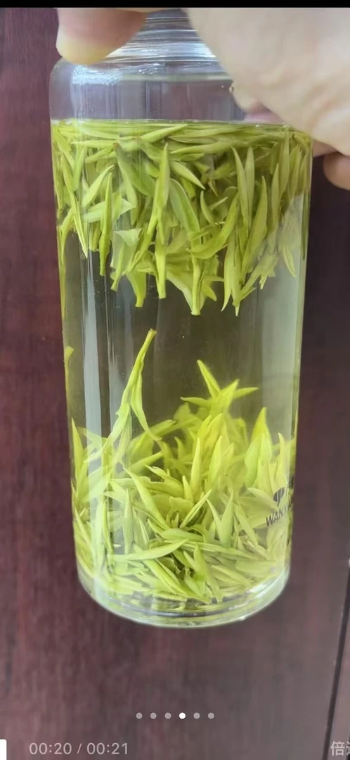 新茶安吉核心产区春茶白茶