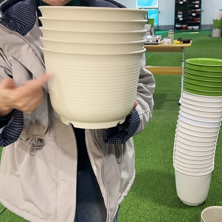 微瑕矮陶口24高18米色无托6支