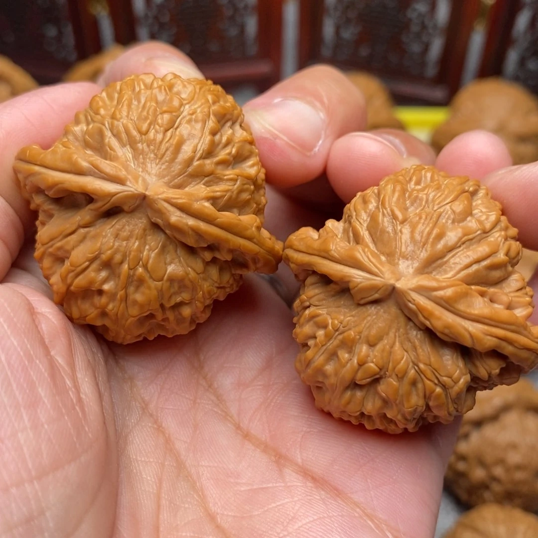 文玩核桃把件全品毕业白狮子39尺