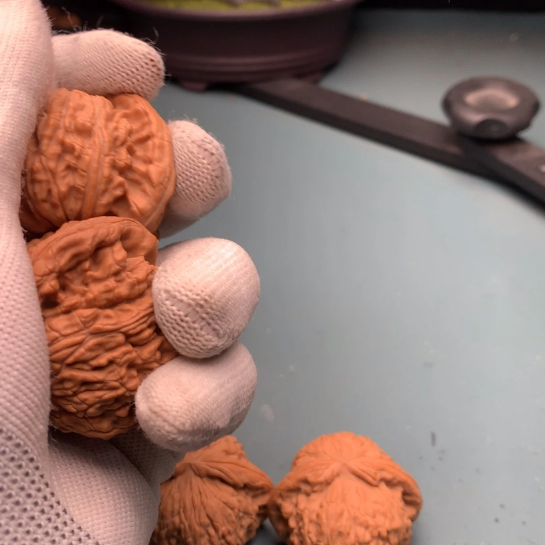 文玩核桃把件全品白狮子4243